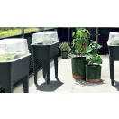 Prosperplast Home Grower virágtartó vagy paradicsomtermesztő fenyőzöld/barna 39x37,5x35cm