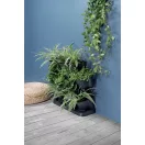 Prosperplast Garden Floor függőleges álló kert antracit 68,5x19x54,6cm